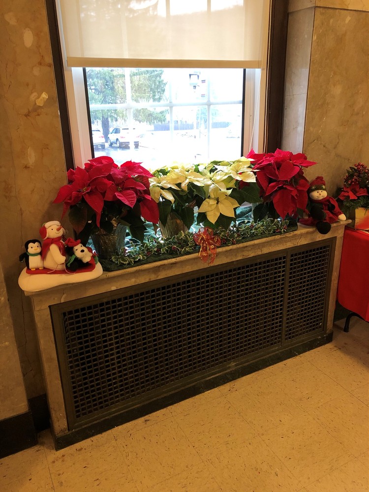 Halls Decked...Check