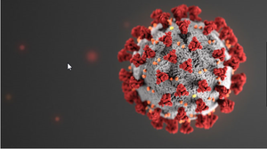 Coronavirus Information Links