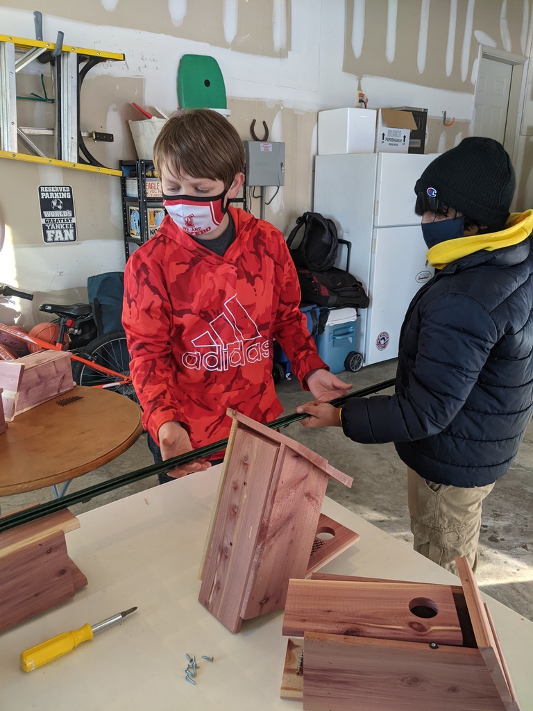 Bird Box 3