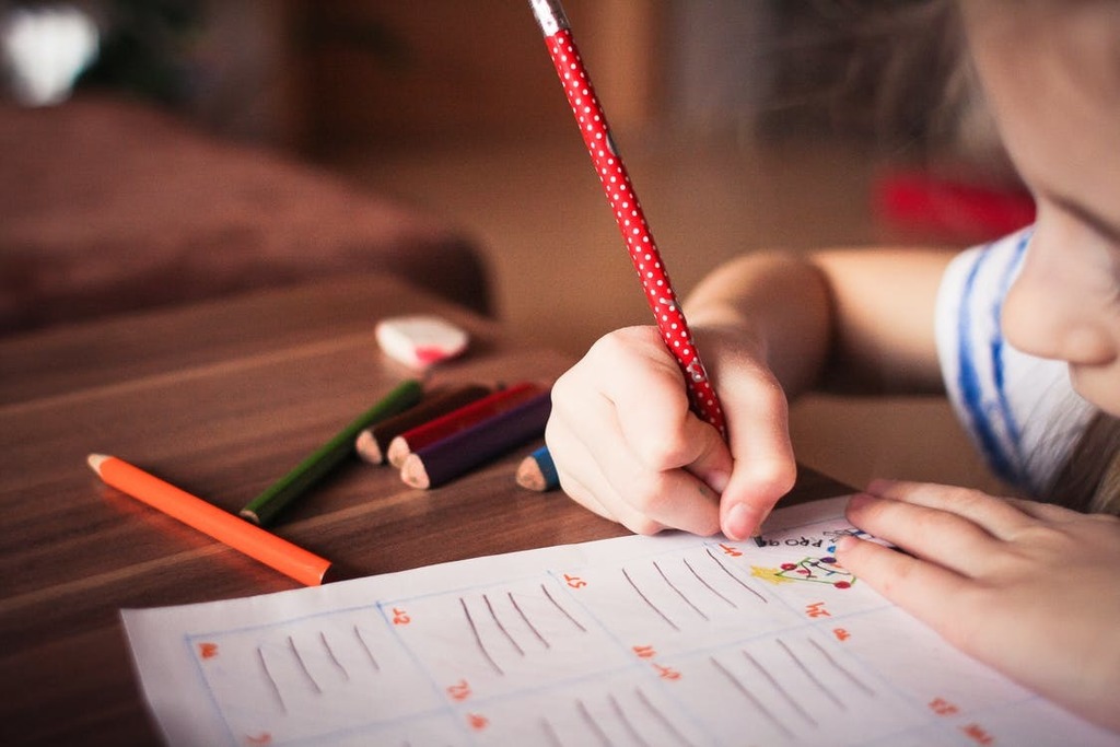 A student fills in a worksheet with a pencil.